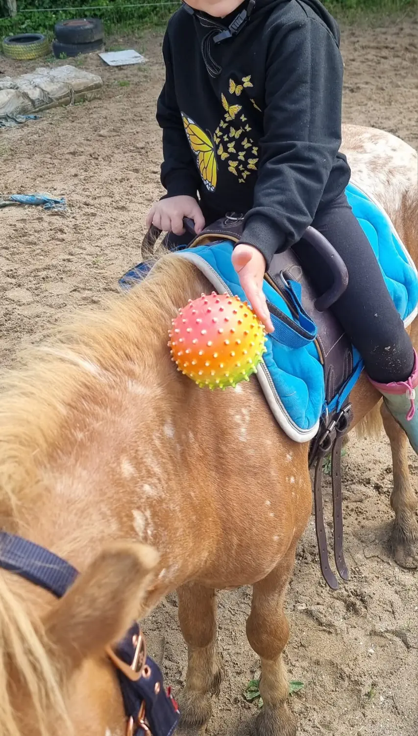 Reittherapie Seelennhalt - Reiten