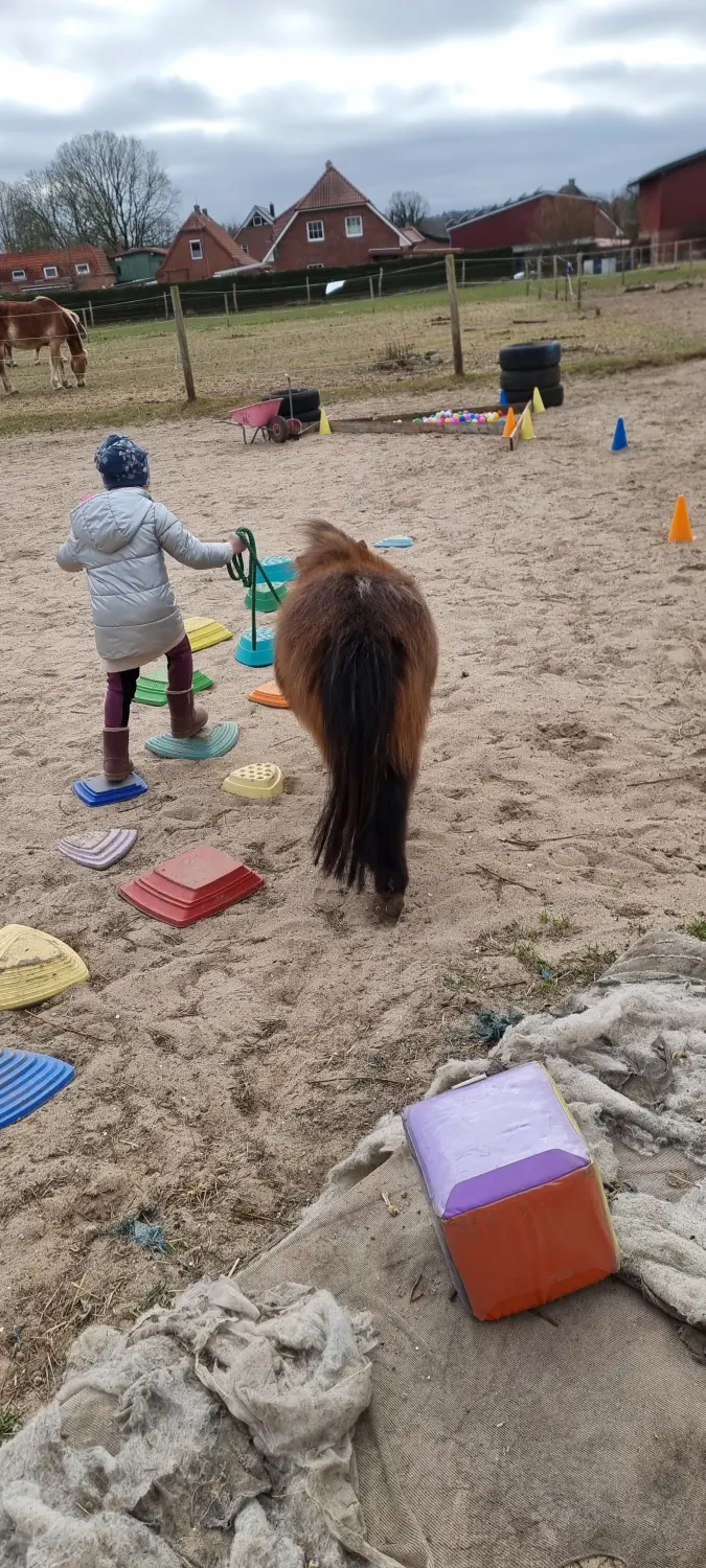 Reittherapie Seelennhalt - Pädagogisches Reiten I