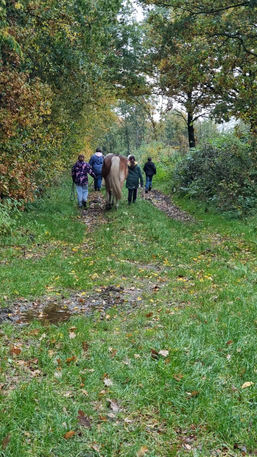 Reittherapie Seelenhalt - Reiten